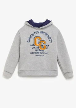 Hot Sudadera Universidad Gris Sudaderas